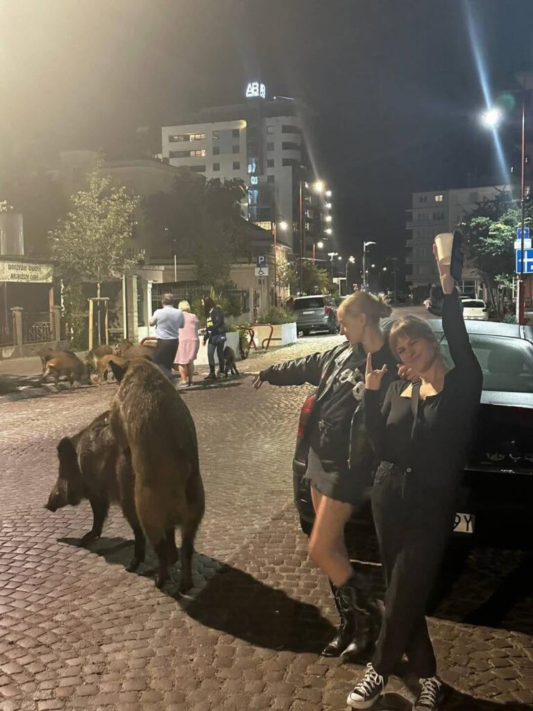 ポーランド グディニア