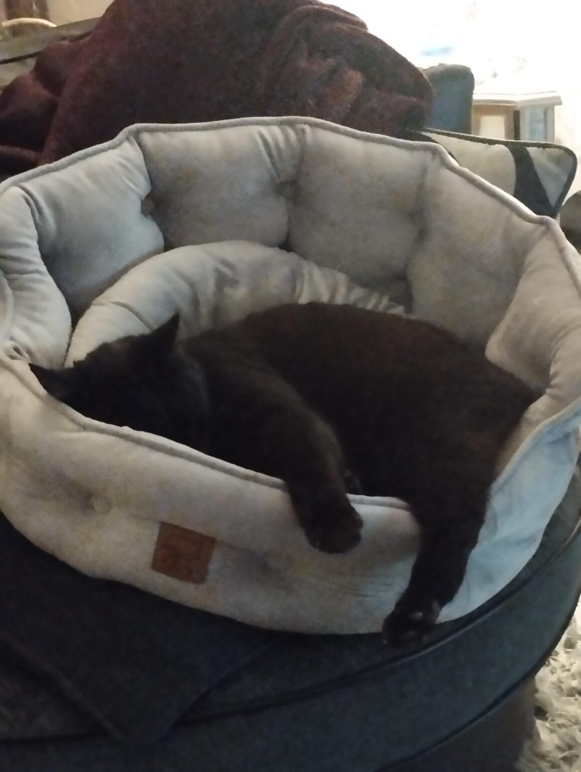 心地よい眠り