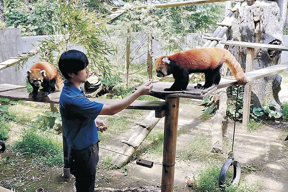 裏庭開放で動物「幸せ」 県立大・動物園が共同調査