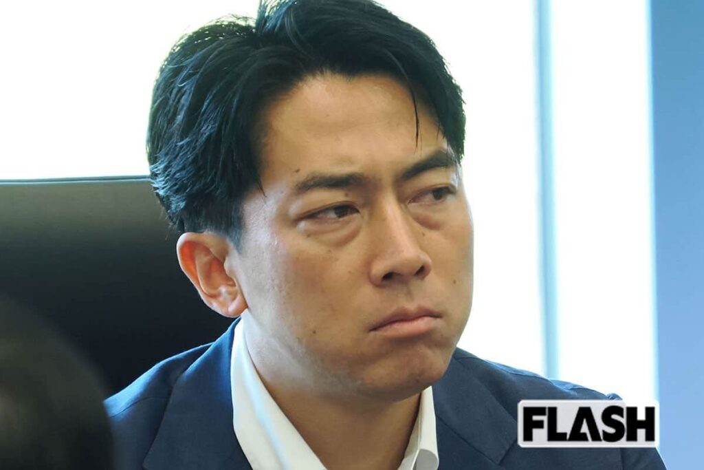 「わからないというのが正直」小泉進次郎氏も “さじ投げた” 自民党「公開方法工夫支出」断念に安堵の声 ― ネーミングも含め無理筋な案件