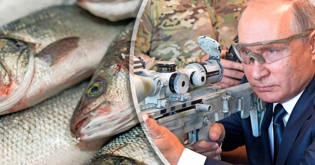 漁船禁止にもかかわらず「オランダの魚貿易はロシアの軍資金となる」