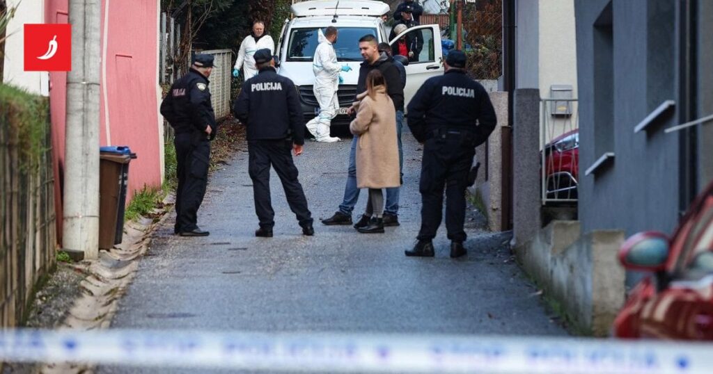 チュルノメラックの犠牲者は、今年殺害された17人目の女性である。昨年と比較して増加