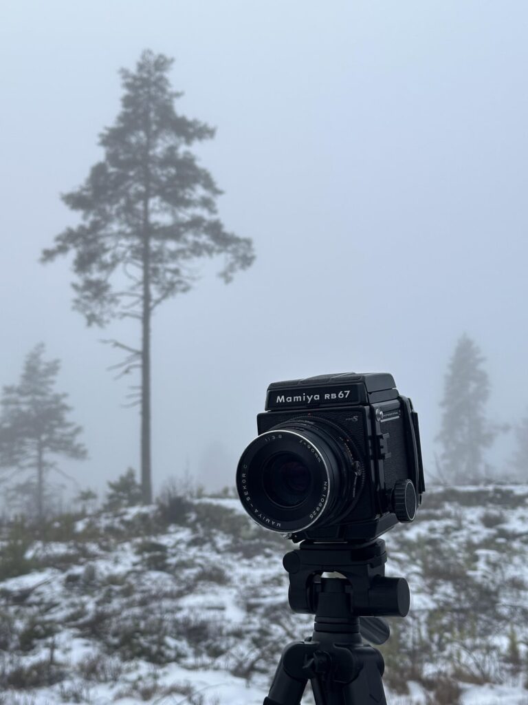昨日は 3D プリントを手伝ってくれた親切なノルウェー人にとても感謝し、森に写真を撮りに行くことができました。