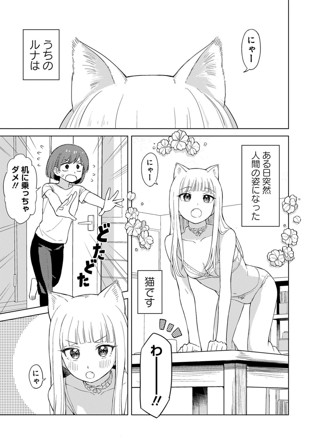 【朗報】んみ先生の描く猫がかわいい
