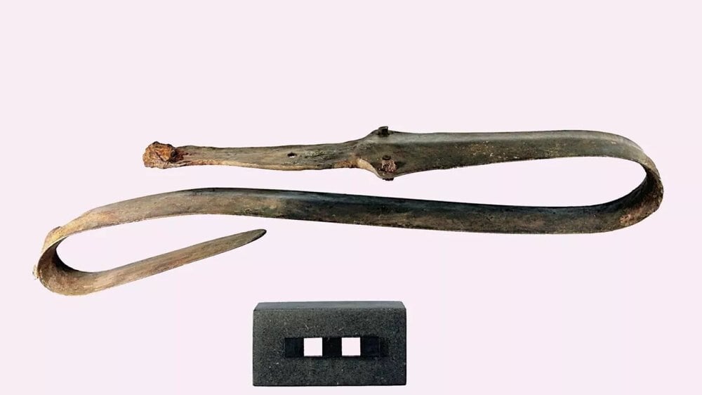 素人がジーランドの沼地で2,500年前の曲がった剣を発見