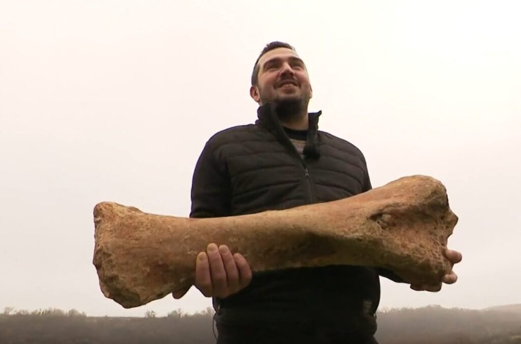モホボで長さ70センチのマンモスの骨が発見