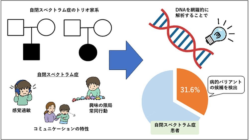 日本人の自閉スペクトラム症患者の遺伝的背景を探索 ～国内初の全ゲノム解析結果を活用し、病態ベースの診断へ～ - 名古屋大学研究成果情報
