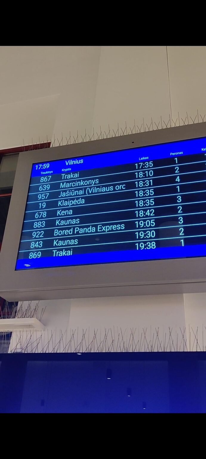 ビリニュス駅、飛行機は何ですか?