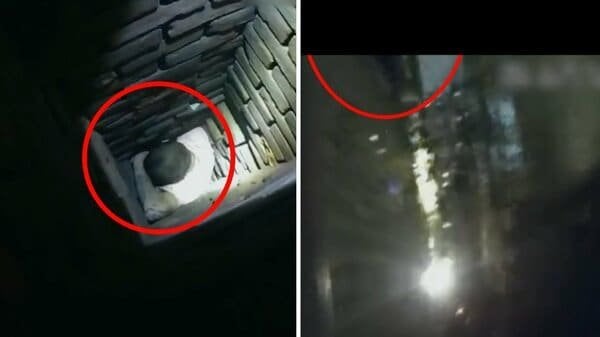 世界各地にサンタクロース…マラソンに“鉄のトナカイ” アメリカでは屋根の上にサンタ?実は逃走した薬物所持犯…煙突にはまって逮捕