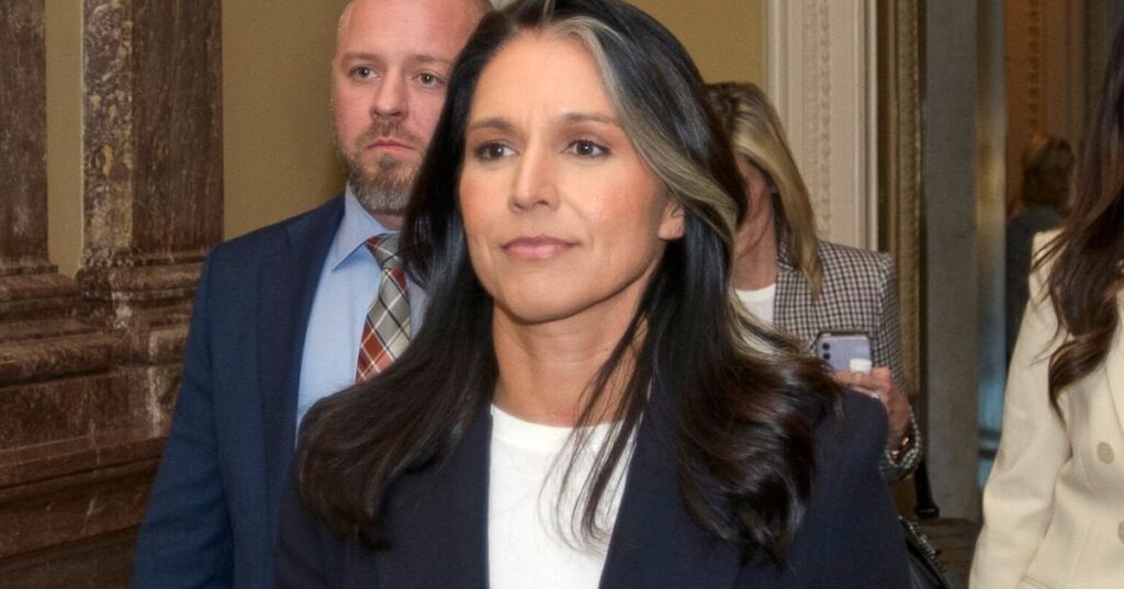 トゥルシ・ギャバード氏は退陣したシリアの独裁者バシャール・アサド氏のために議会で7回立候補した