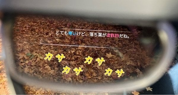 カサカサカサカサ　落ち葉の音や猫の鳴き声をスマートグラスで“見る”技術