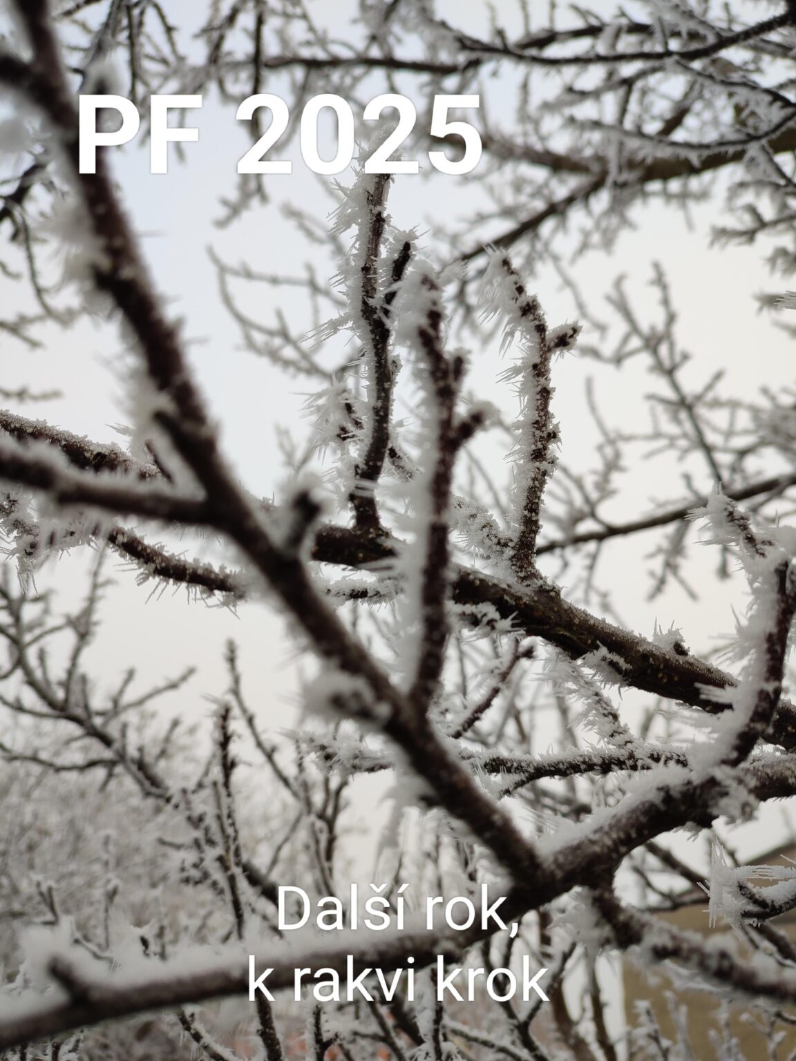 最高のPFka