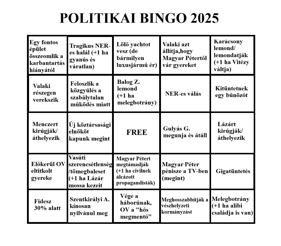 政治的ビンゴ 2025-re
