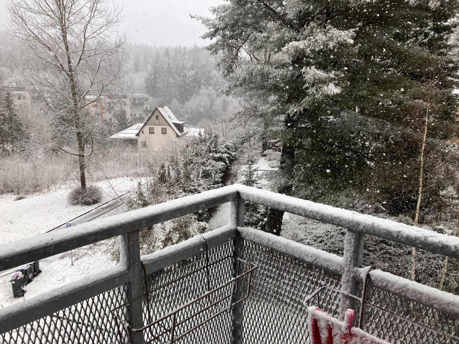 それで、雪は降っていますか？