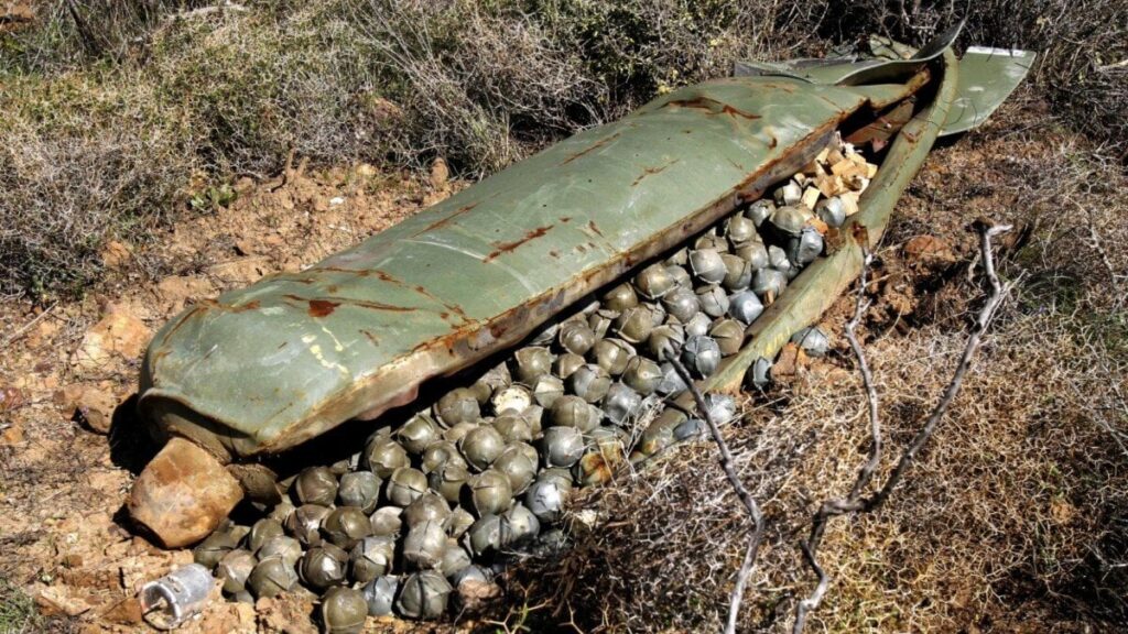スピーカー: デンマーク兵士は地雷とクラスター爆弾の使用を許可されなければなりません