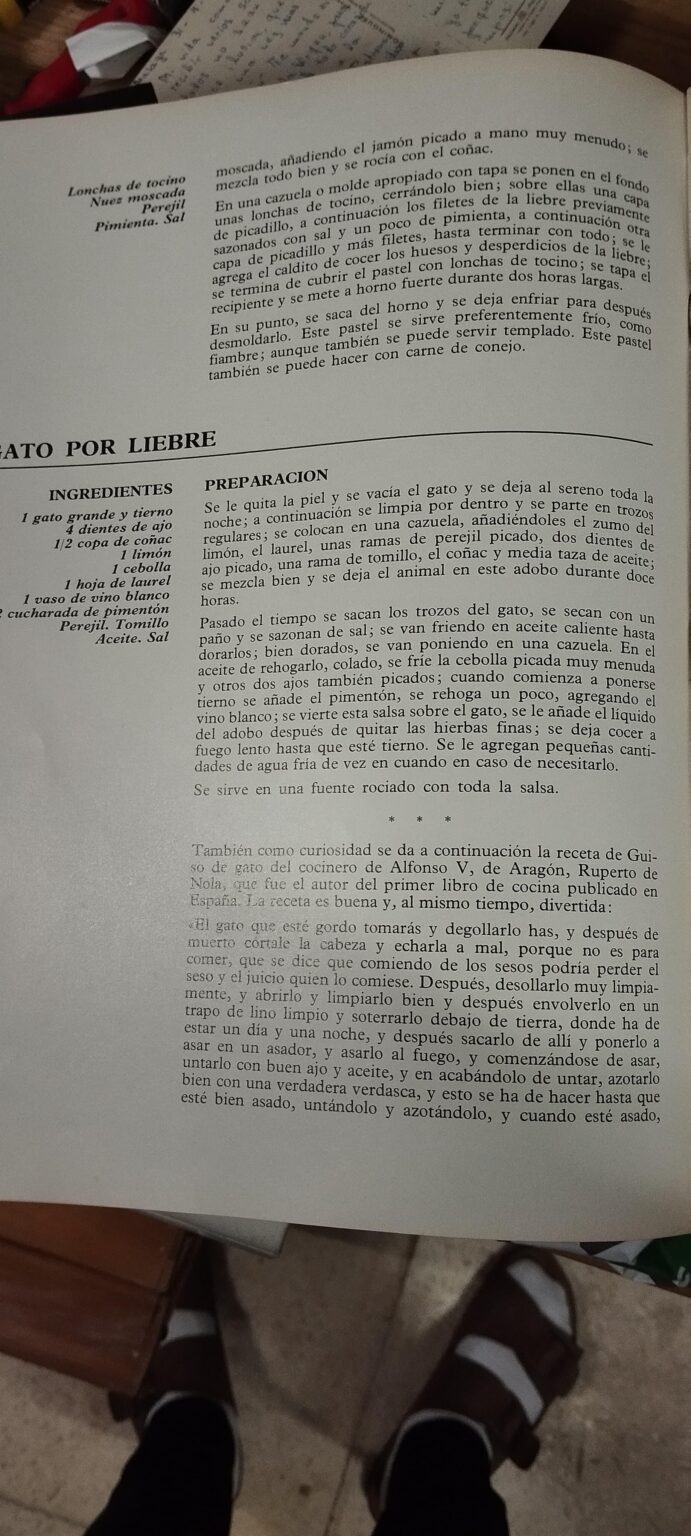 猫の作り方を教えるスペインの 1970 年の料理本からのレシピ (教育上の理由からのみ共有します。幸いなことに現在では完全に禁止されています)