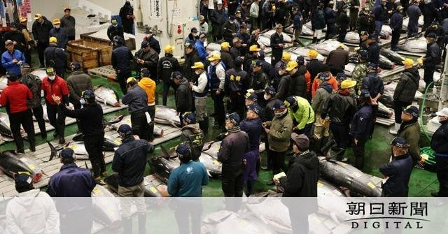 「鮮度抜群」大間産のマグロが2億円超え 豊洲初セリで2番目の高値