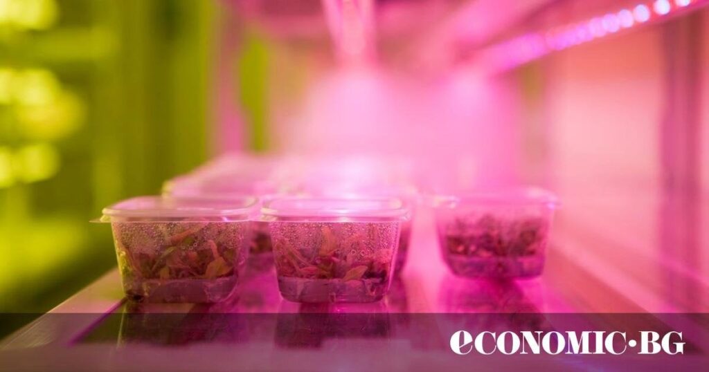 使い捨てのプラスチック製食品箱は高価になってきています。目標は、消費量を減らすことです。しかし、BGの加盟店は代替品やデポジットシステムを提供していません。制裁はありません。