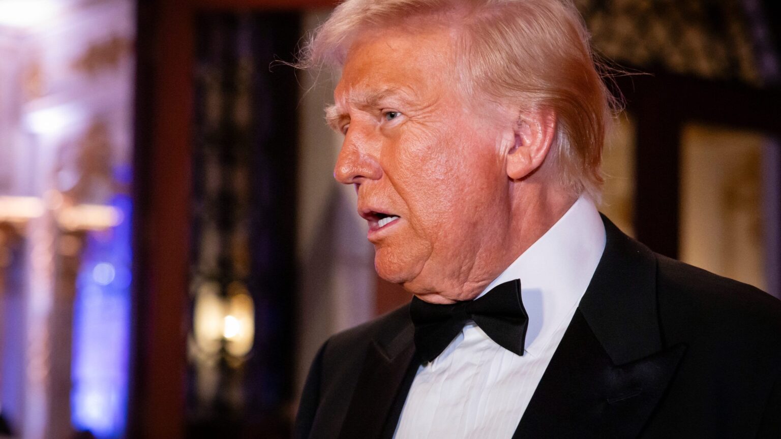 トランプ氏の当選が認定されたので、アメリカ人は愚かさに対して宣戦布告すべきだ |意見