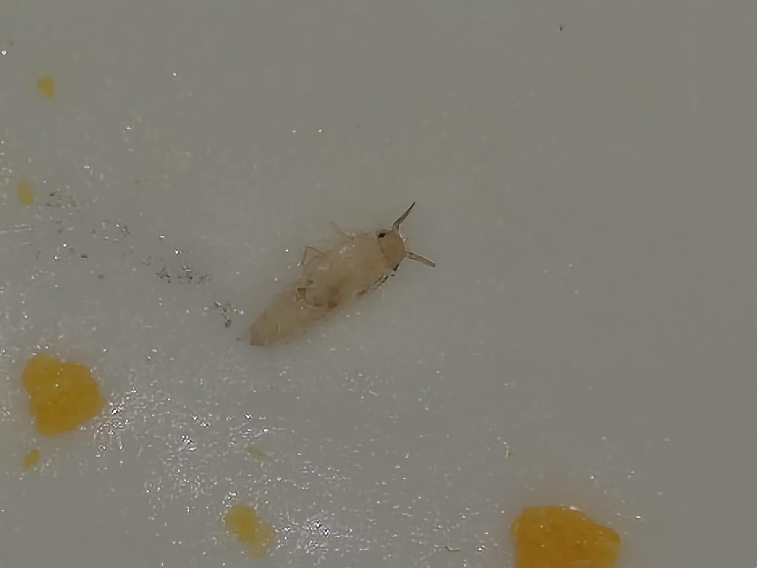 週末の良いスタートを切る