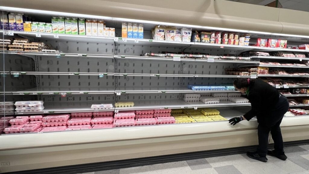 民主党議員は、卵の不足の中で食料価格を下げることを約束することを約束しないことでトランプを叩きます