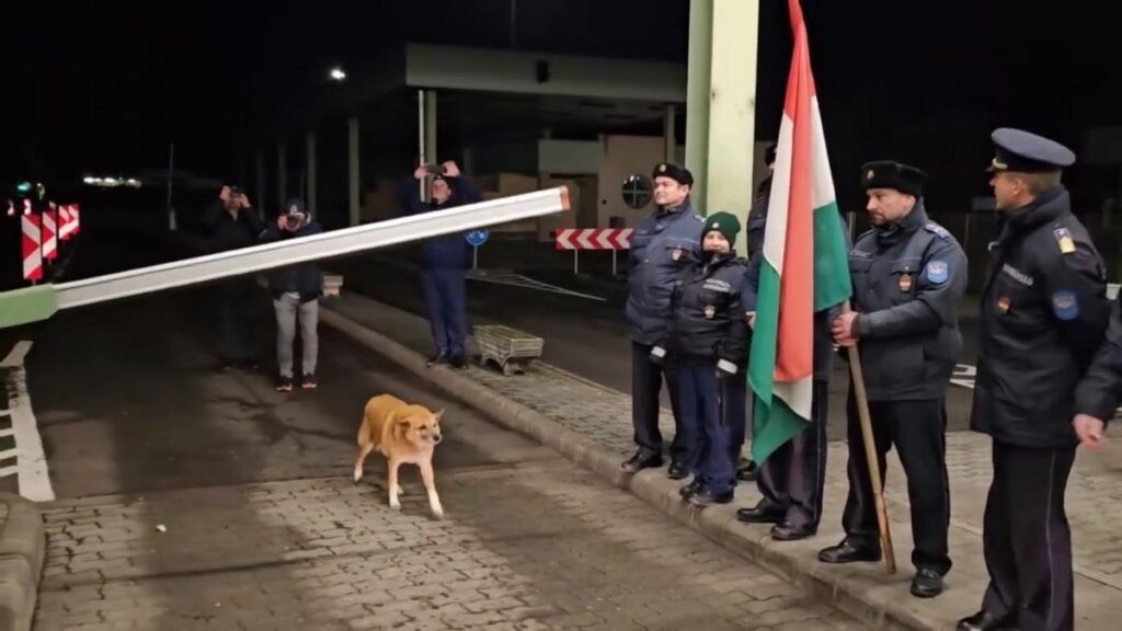 バマ・ペテア経由でシェンゲンに初めて入国した子犬、国境警察の拍手喝采