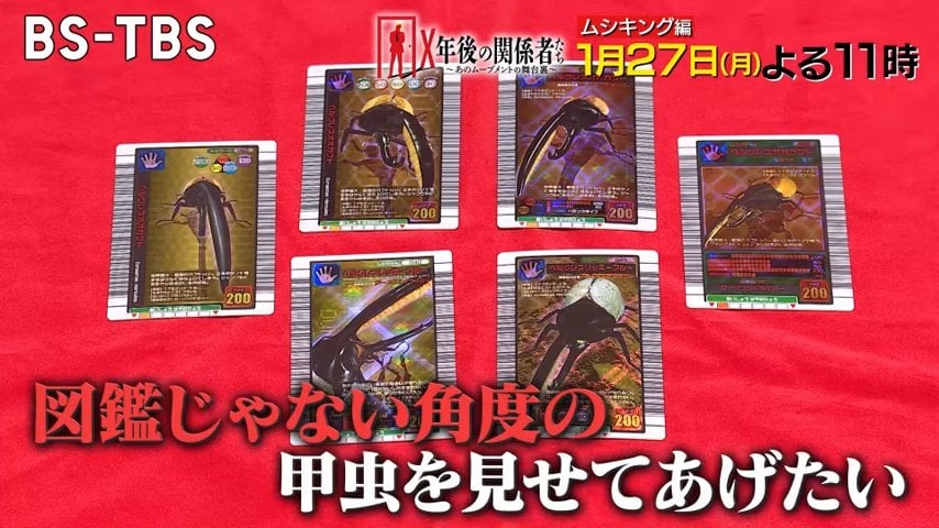 BS-TBS「X年後の関係者たち」1月27日の放送は「甲虫王者ムシキング」の光と闇を紐解く