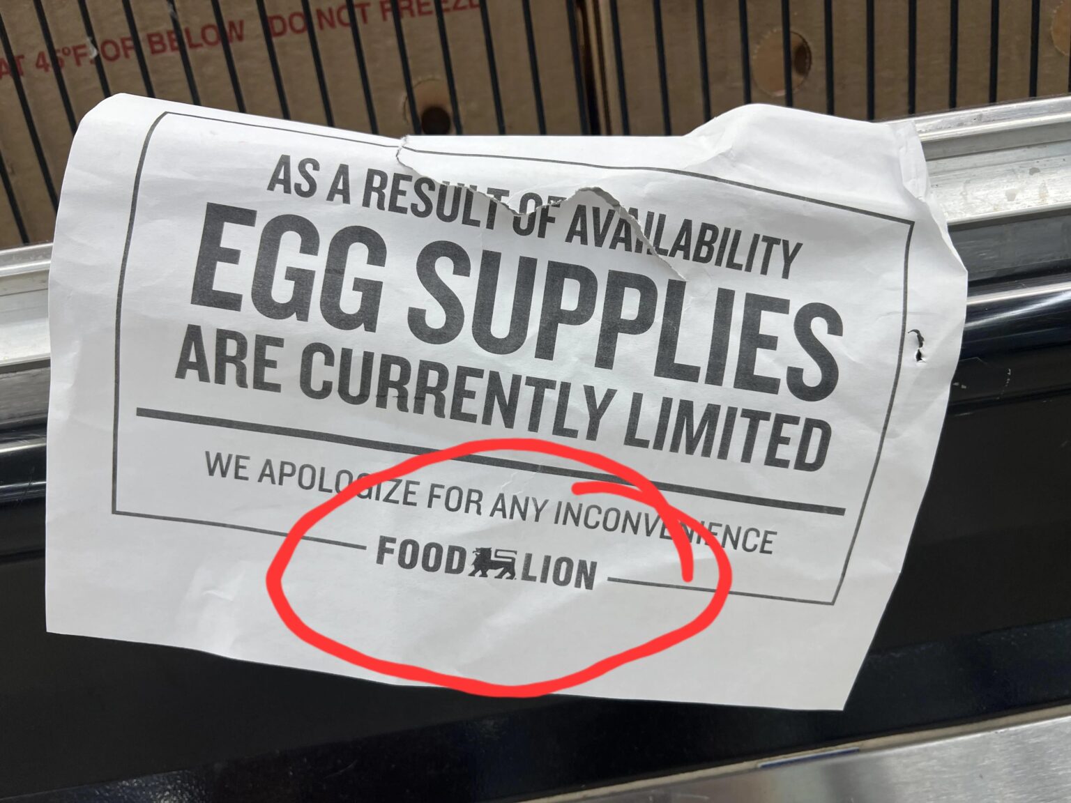 アメリカにデレーズができるまで: Food Lion