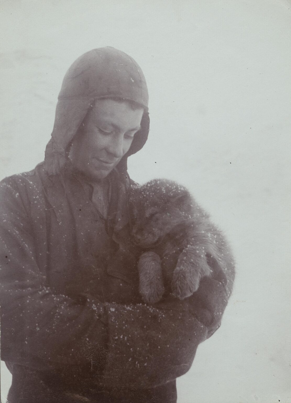 スウェーデンによる最初の南極探検（1901～1904年）。子犬を連れた乗組員。