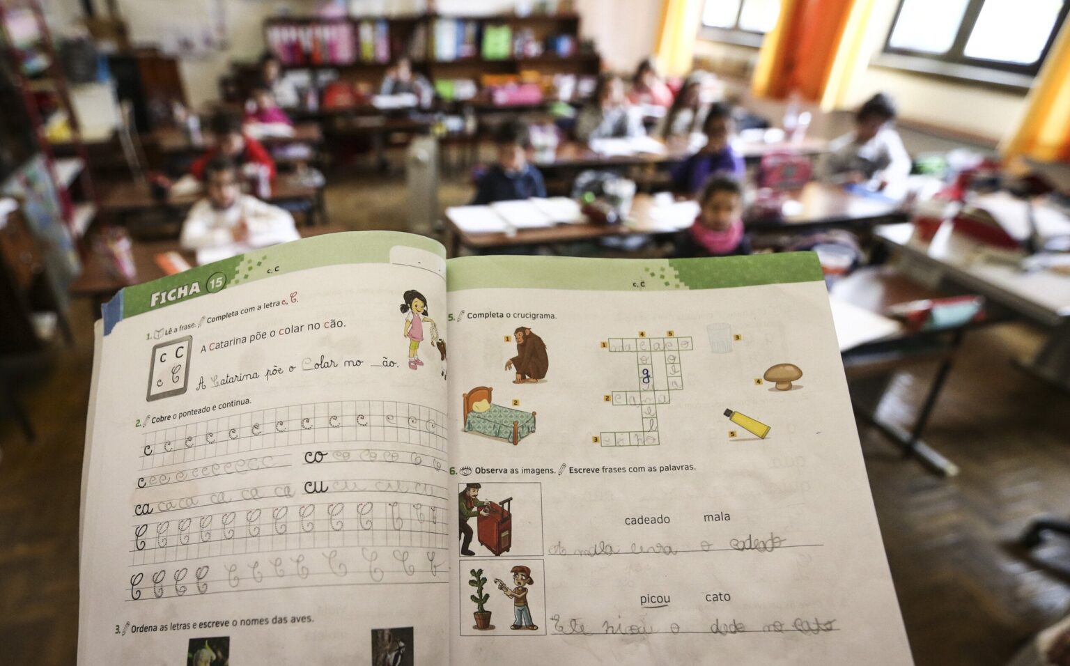 ポルトとリスボンではすでに私立学校が大多数を占めている