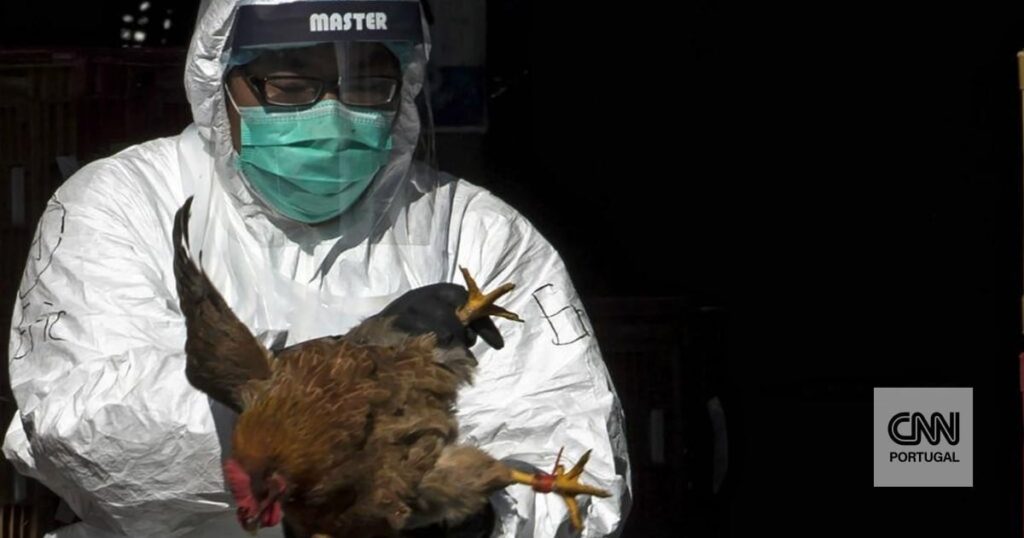世界獣疫事務局はリスボンでの鳥インフルエンザの発生について警告を発した