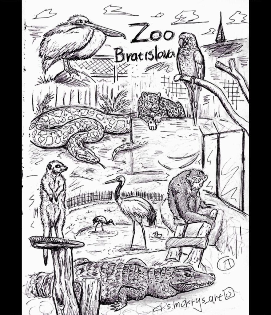 今日ブラチスラヴァ動物園に行ったときに描いた絵