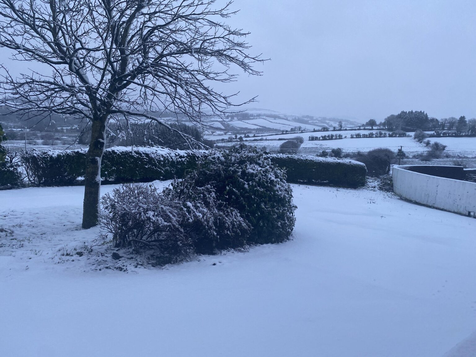 ケリー州には雪が積もりました
