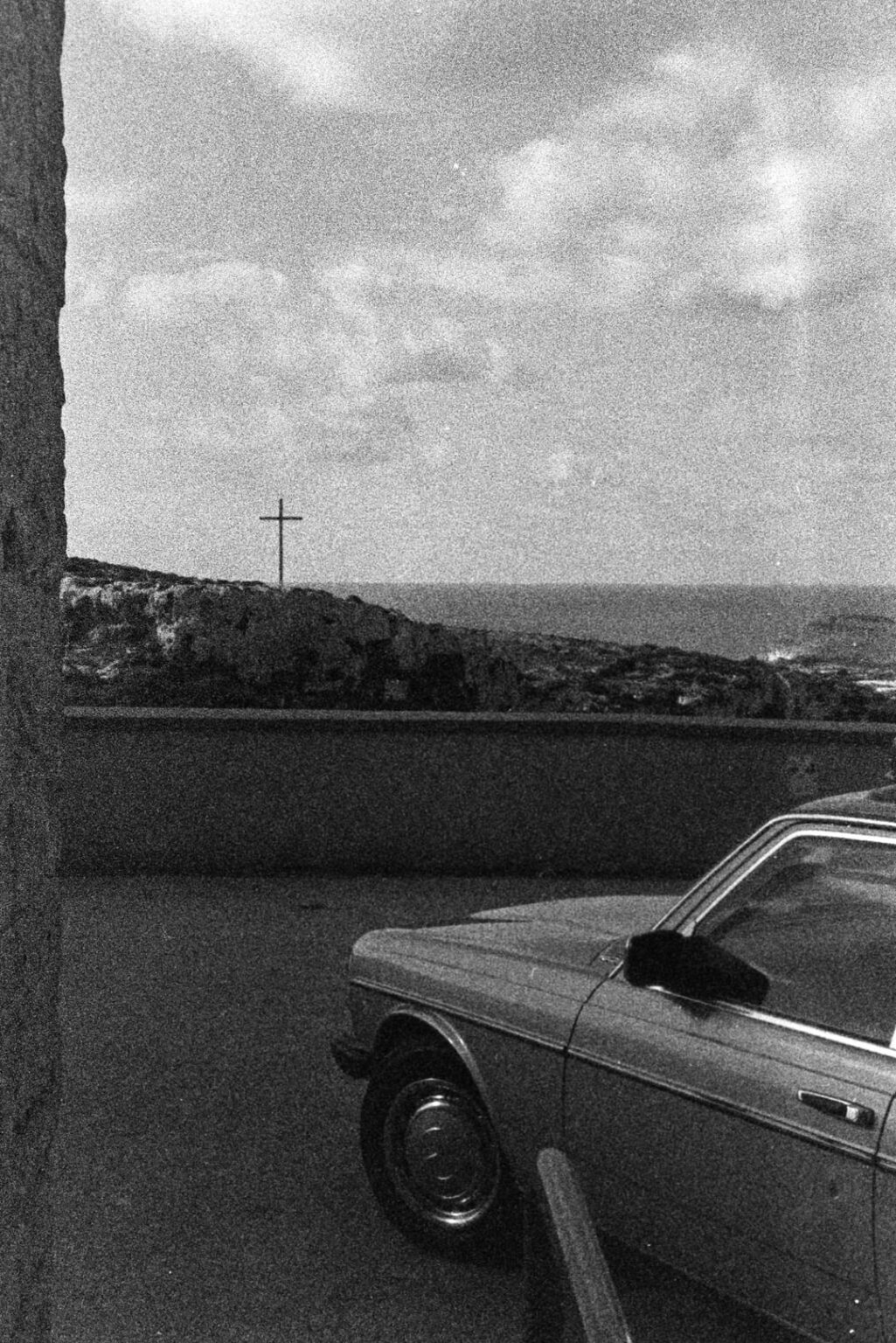 粒子の粗いフィルムにアナログ カメラを使用した白黒のメーリーハ