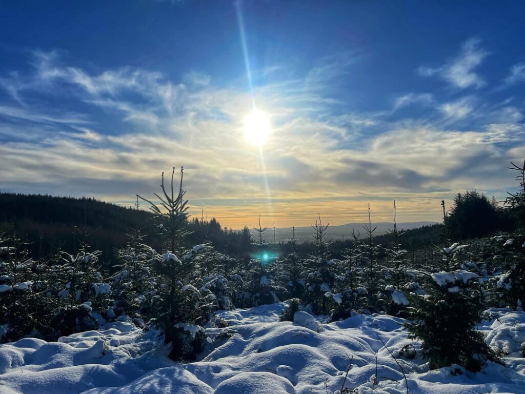 リムリック州の雪