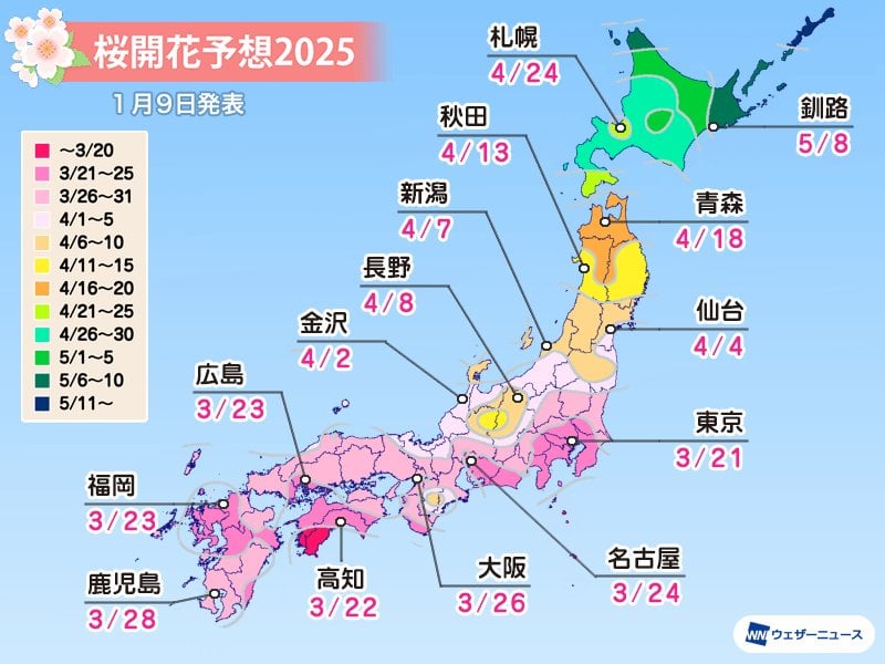 2025年 第一回桜開花予想 全国トップは東京で3月21日 北日本は高温傾向で平年より早い