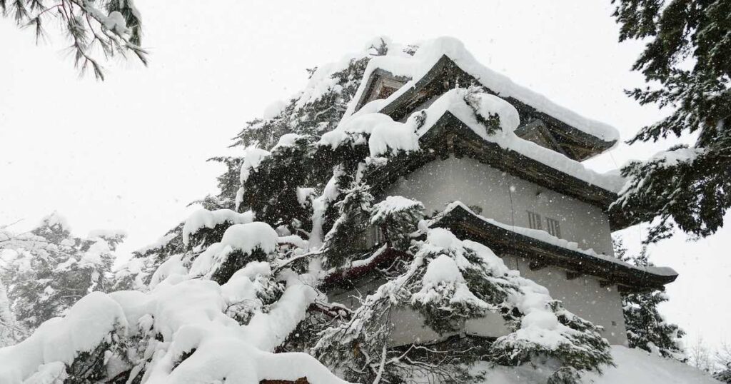 雪で倒木直撃、国の重文「弘前城二の丸未申櫓」が破損 ひさしが湾曲し壁にも傷