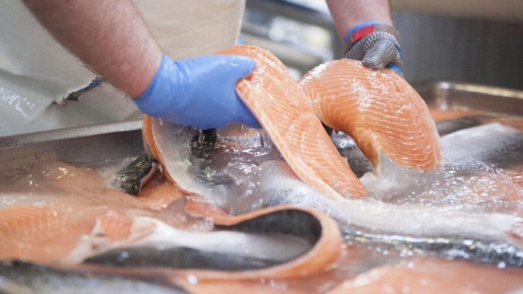 養殖魚はダメなのか？必ずしもそうではない、と専門家は言う