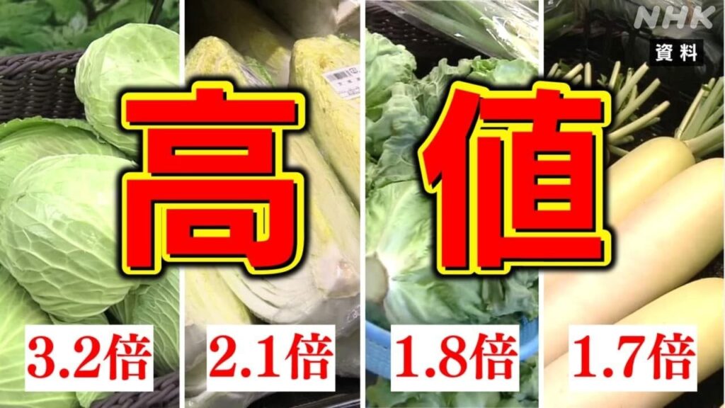 キャベツ1玉の値段は…はくさい レタス だいこんも値上がり 野菜の高値 対応策は