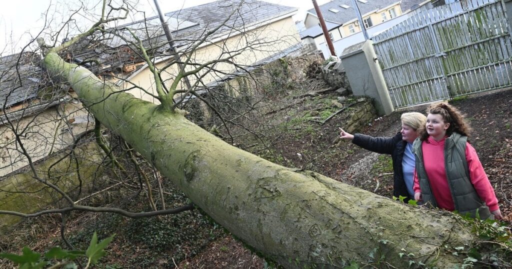 嵐エオウィンの除染が進む中、54万戸の住宅と企業が停電のまま