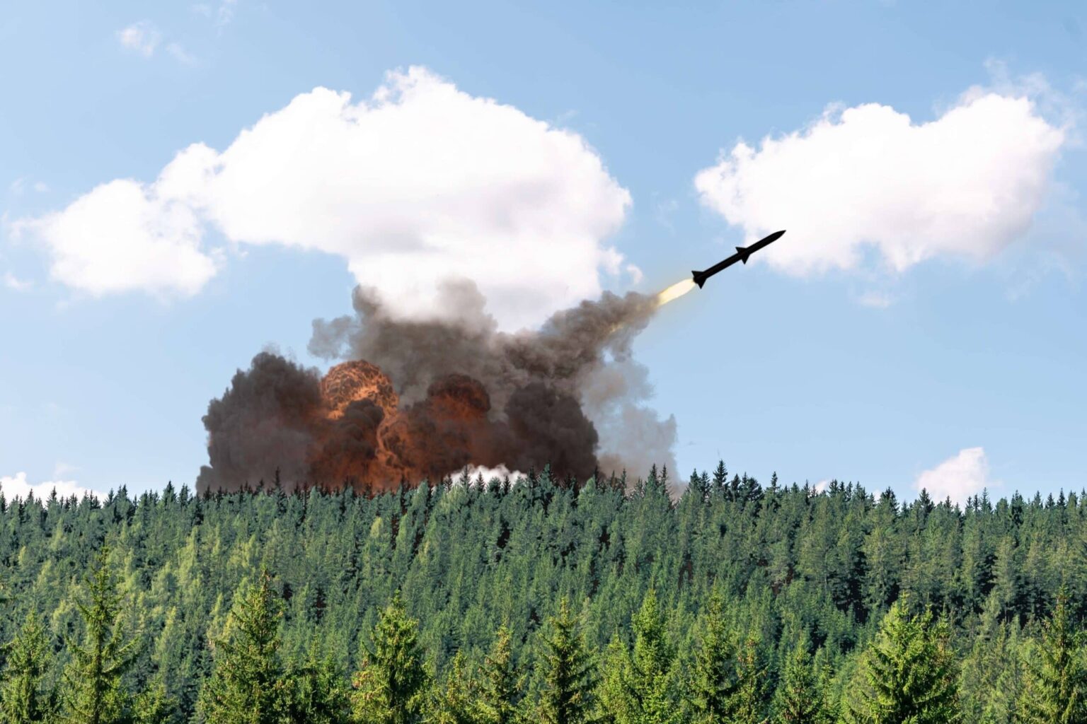 ロシア軍が森林を破壊する中、ウクライナがクリスマスツリーを伐採