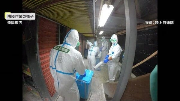２養鶏場で９１％にあたる６０万羽殺処分 盛岡市で感染確認４・５例目の鳥インフル エンザ 岩手県