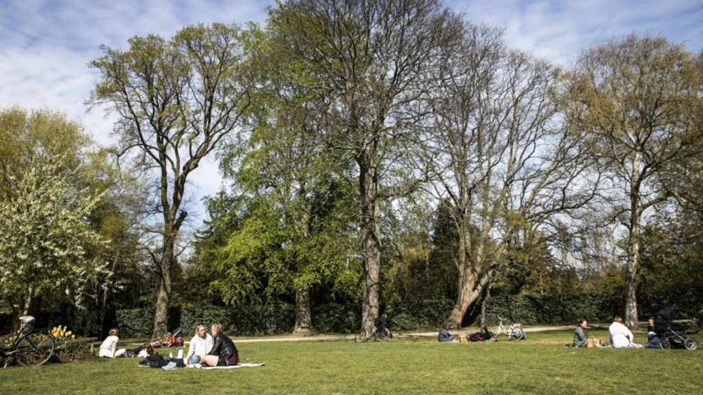 コペンハーゲンに集団墓地がオープン - 不気味な光景を隠すためのテント [om arkæologisk udgravning i Hans Tavsens Park]