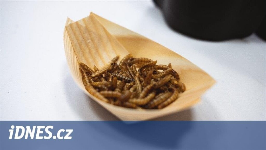 EUは、たとえばケーキなど、Potemníkの幼虫からの食事の使用を承認しました-idnes.cz