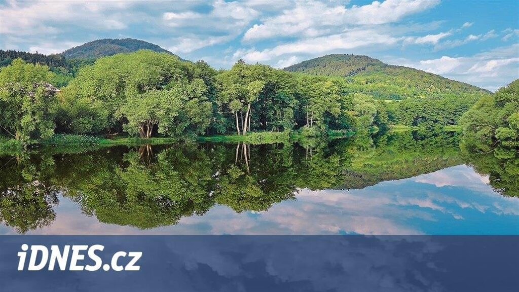 90年代の美しい名残、チェコ共和国の不法建築物