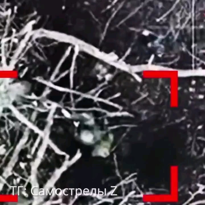 無数のロシア兵士が自殺