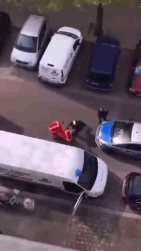 ノーモララー逮捕の瞬間