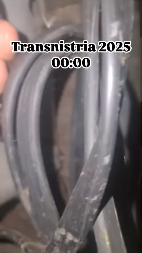 パムパム！