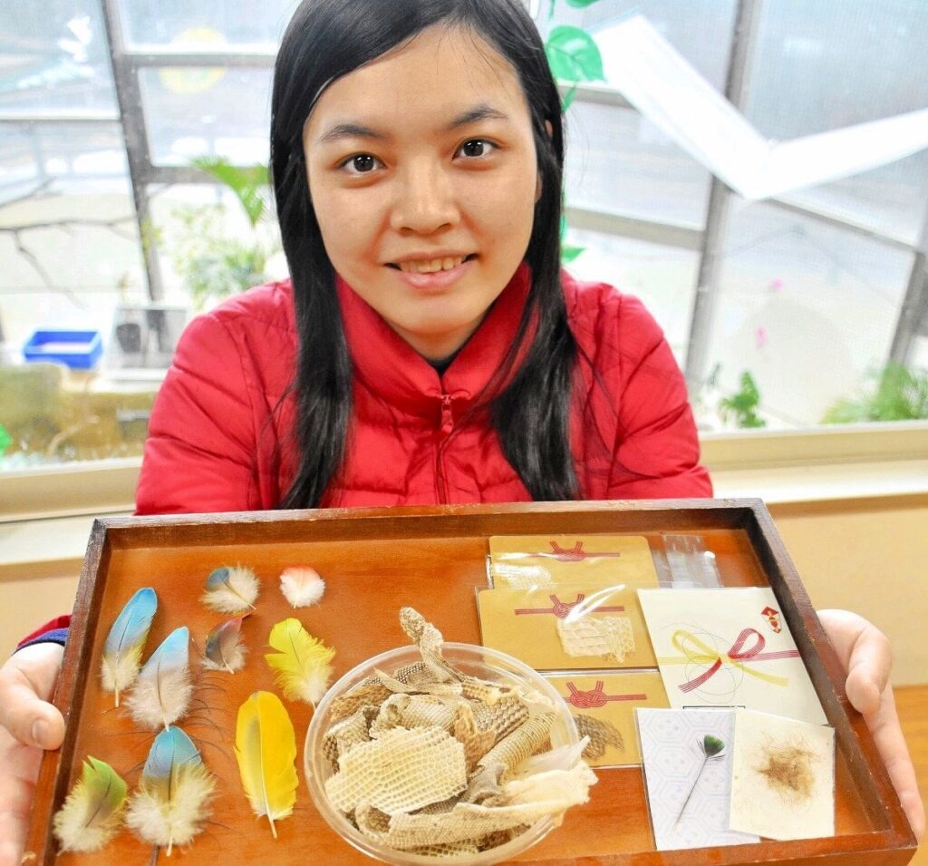 ヘビやイグアナの脱皮殻、クジャクの羽……動物の羽毛プレゼント 福井市足羽山遊園地、1月5日に先着順