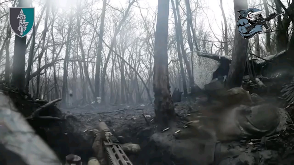 Kursk地域のウクライナ第73海兵特別作戦センターの挑戦的な仕事の戦闘映像。襲撃、待ち伏せ、妨害行為、クリーンアップ作業、および利用可能なすべての手段を使用して、敵の職員と機器の中和。 2025年1月